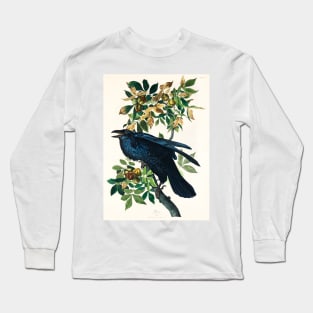 Raven from Birds of America (1827) Long Sleeve T-Shirt